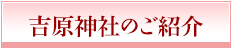 吉原神社のご紹介