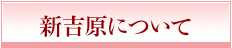 新吉原について