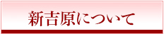 新吉原について