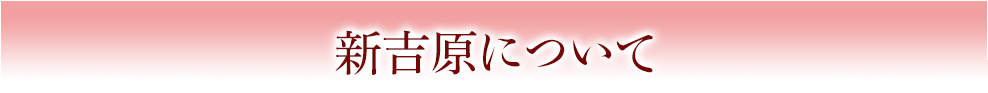 新吉原について